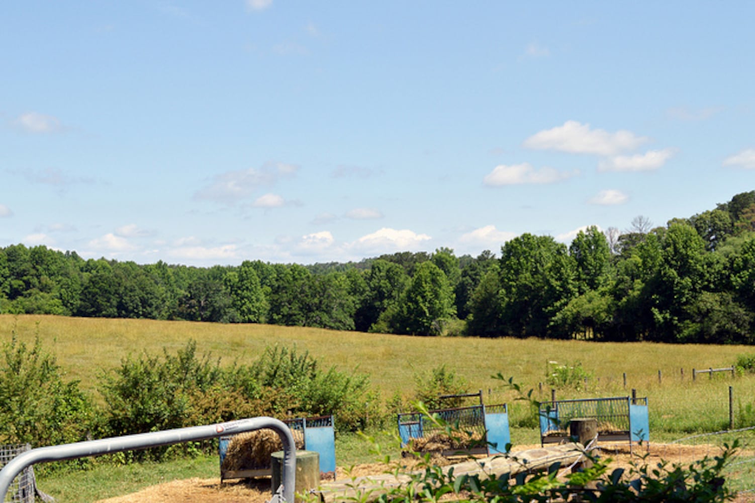 Taking a tour of Many Fold Farm