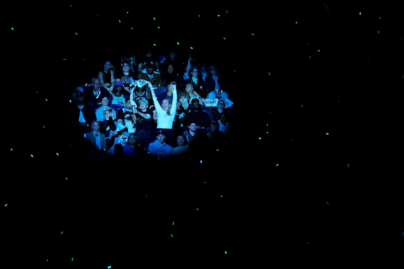 Fans cheer during the first half in Game 1 of a WNBA basketball final playoff series between the New York Liberty and the Minnesota Lynx, Thursday, Oct. 10, 2024, in New York. (AP Photo/Pamela Smith)