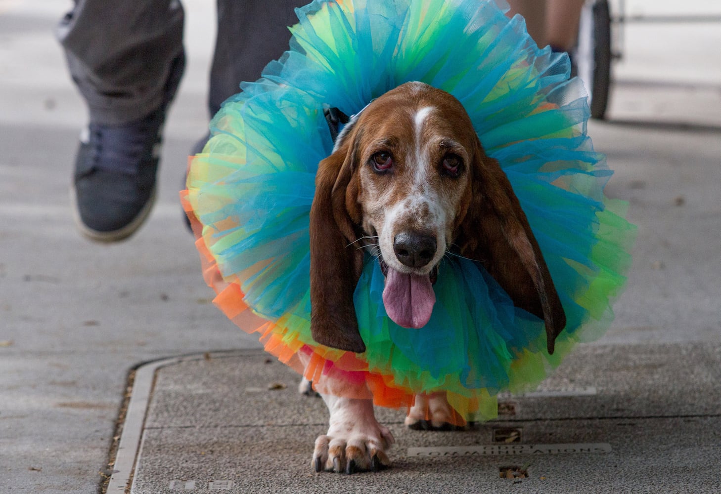 Photos: 2018 Atlanta Pride Parade