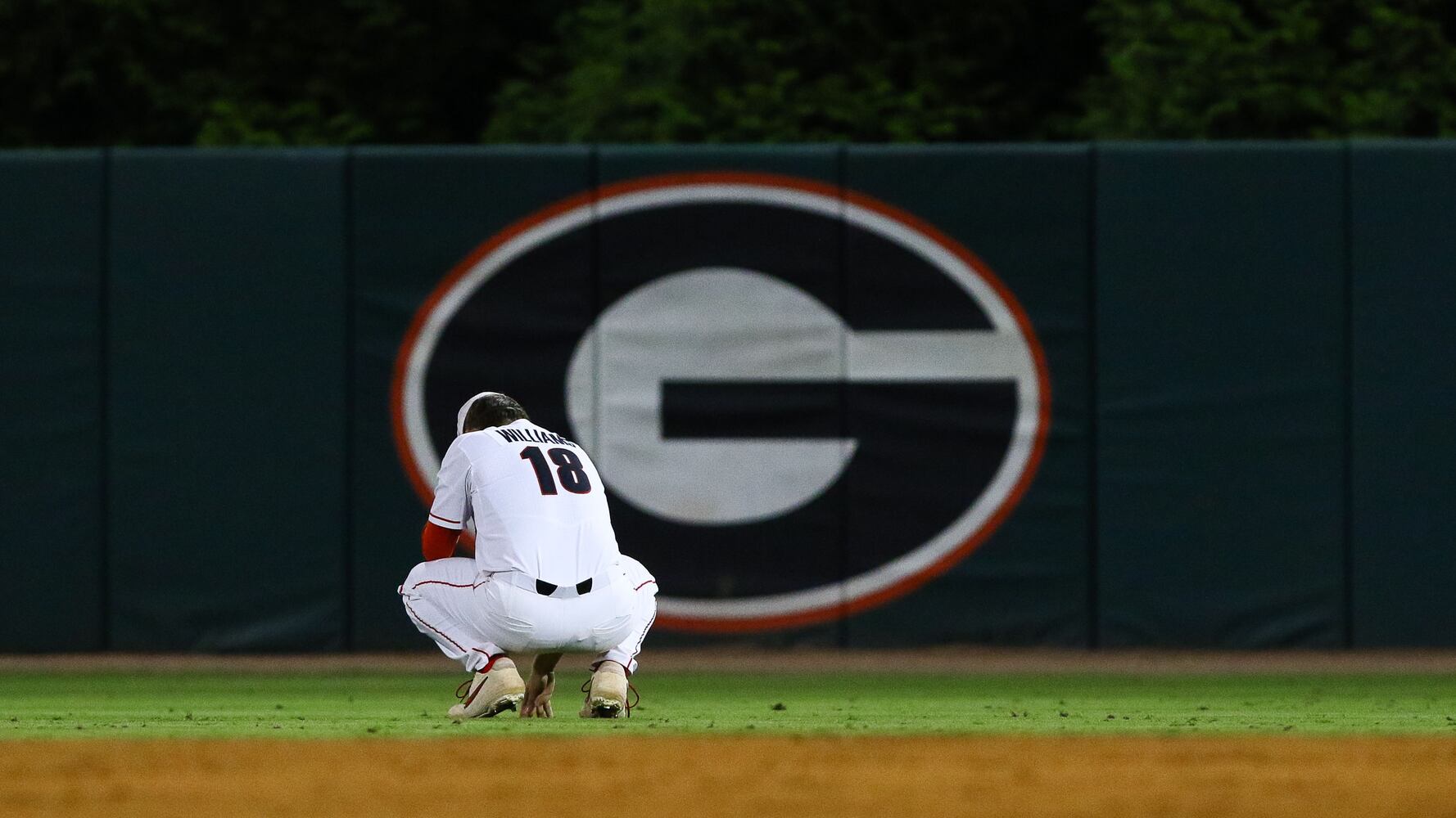 Georgia Bulldogs