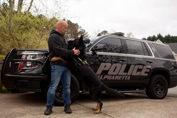 A spring 2021 image of Sgt. Mark Tappan and retired police K-9 Mattis playing in the front yard of Sgt. Tappan’s house in Alpharetta.  (Rebecca Wright for the Atlanta Journal-Constitution)