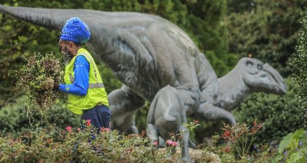 On a brisk Wednesday morning, maintenance worker Devon Walker found a cool prehistoric spot in front of Fernbank Museum  to help tidy up.  JOHN SPINK / JSPINK@AJC.COM