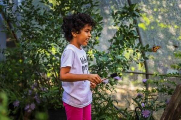 Have breakfast before getting early access to Chattahoochee Nature Center’s Butterfly Encounter this Sunday.