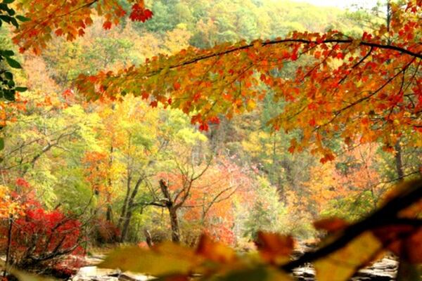 Fall colors at Sweetwater Creek State Park, October 2007.