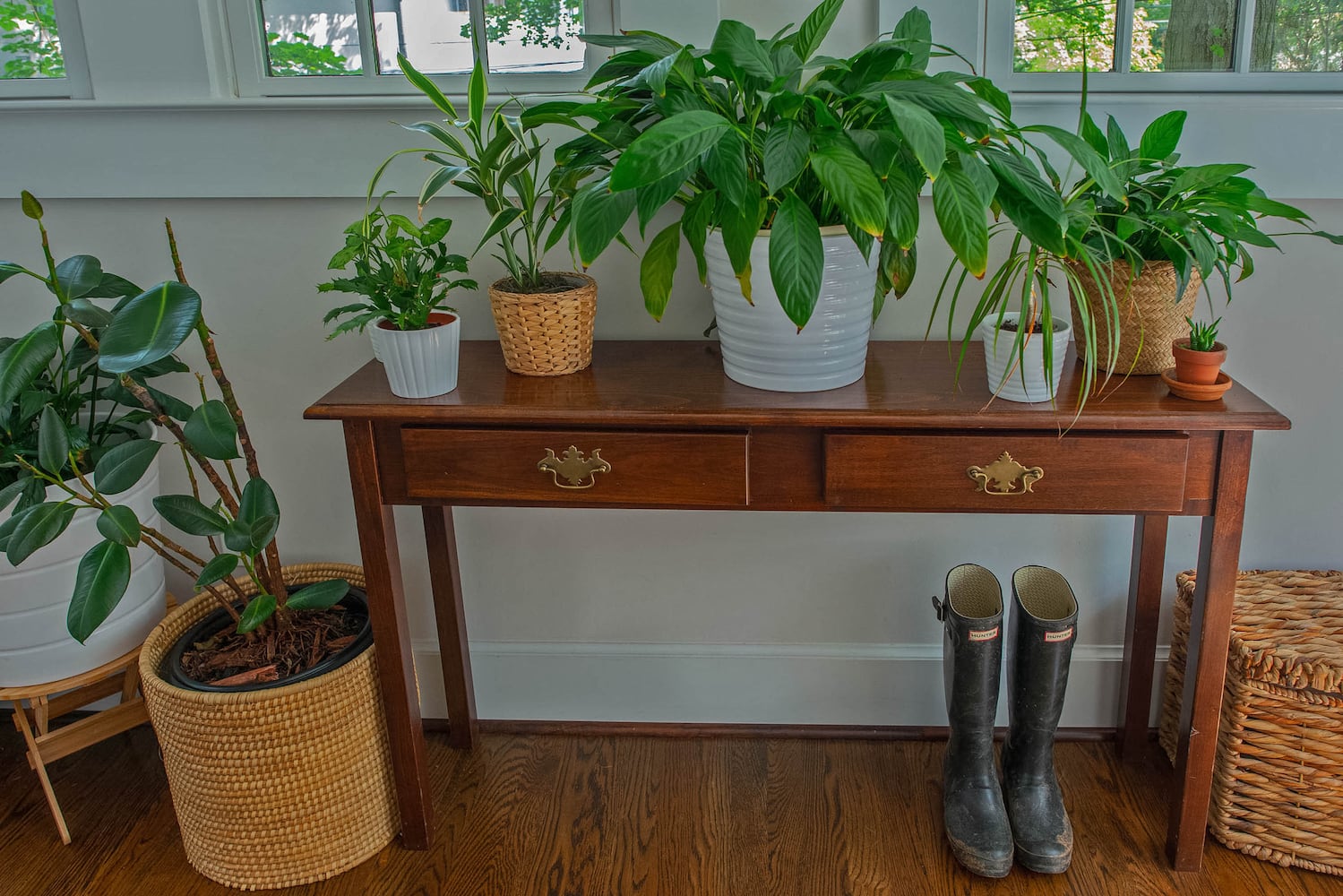 English Tudor-style home showcases Atlanta owner’s plant ‘babies’