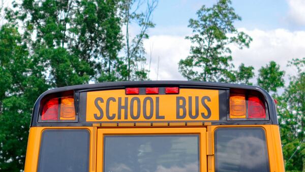 Reports say a Florida boy says he was attacked multiple times by a pit bull when he got off the school bus.