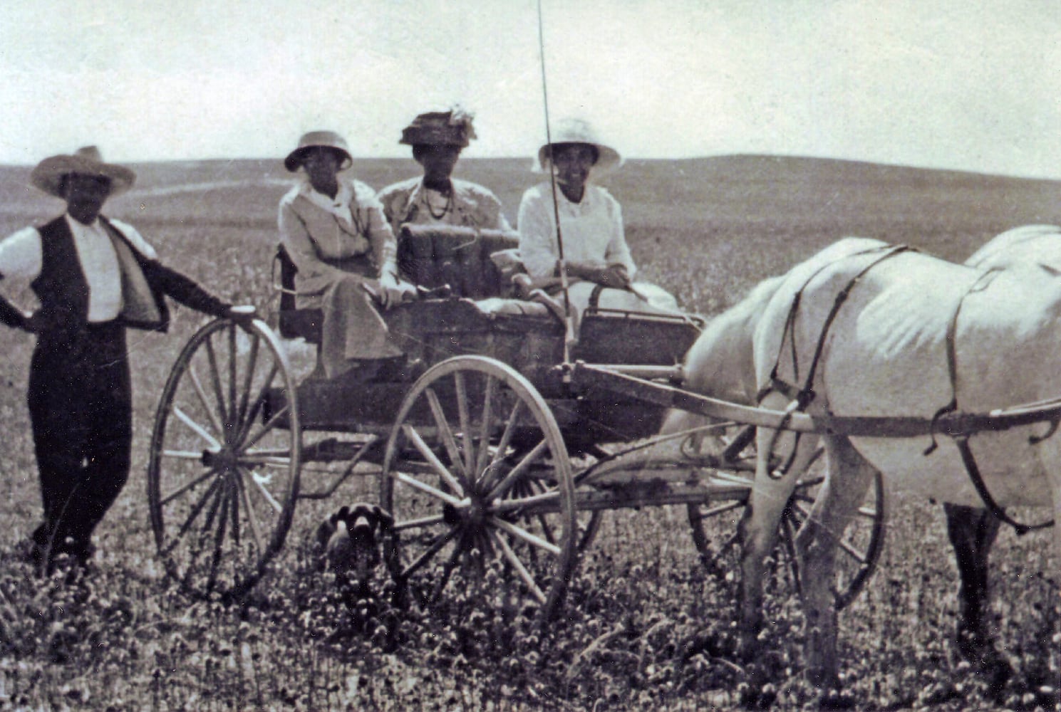 BHM Black homesteaders