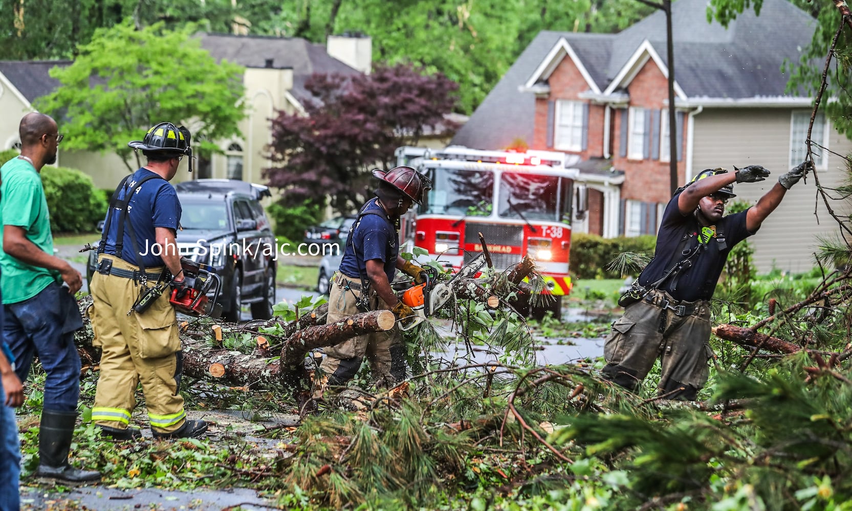 tree damage