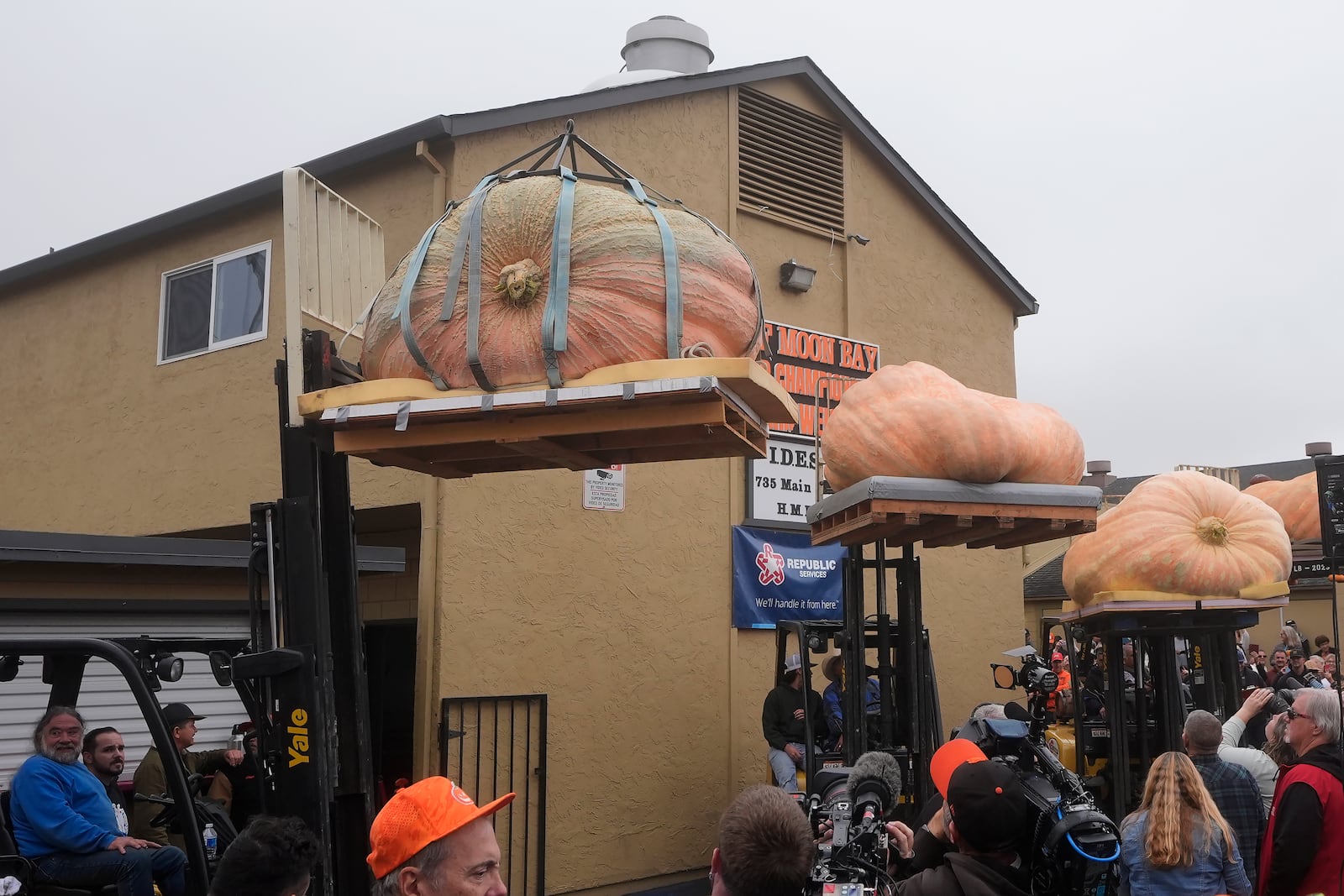 Pumpkins are hoisted up for display before being weighed at the Safeway World Championship Pumpkin Weigh-Off in Half Moon Bay, Calif., Monday, Oct. 14, 2024. (AP Photo/Jeff Chiu)