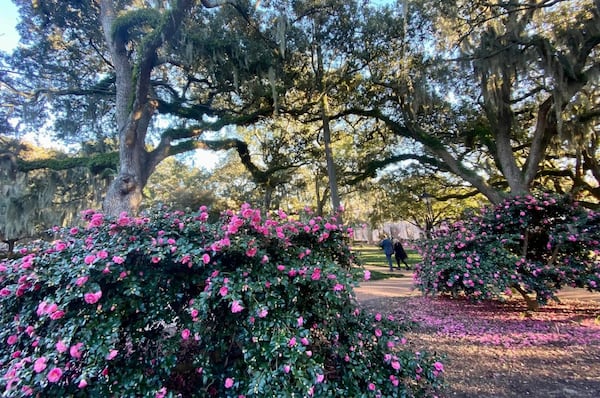 With views like this, it's no wonder people want to film in Savannah.