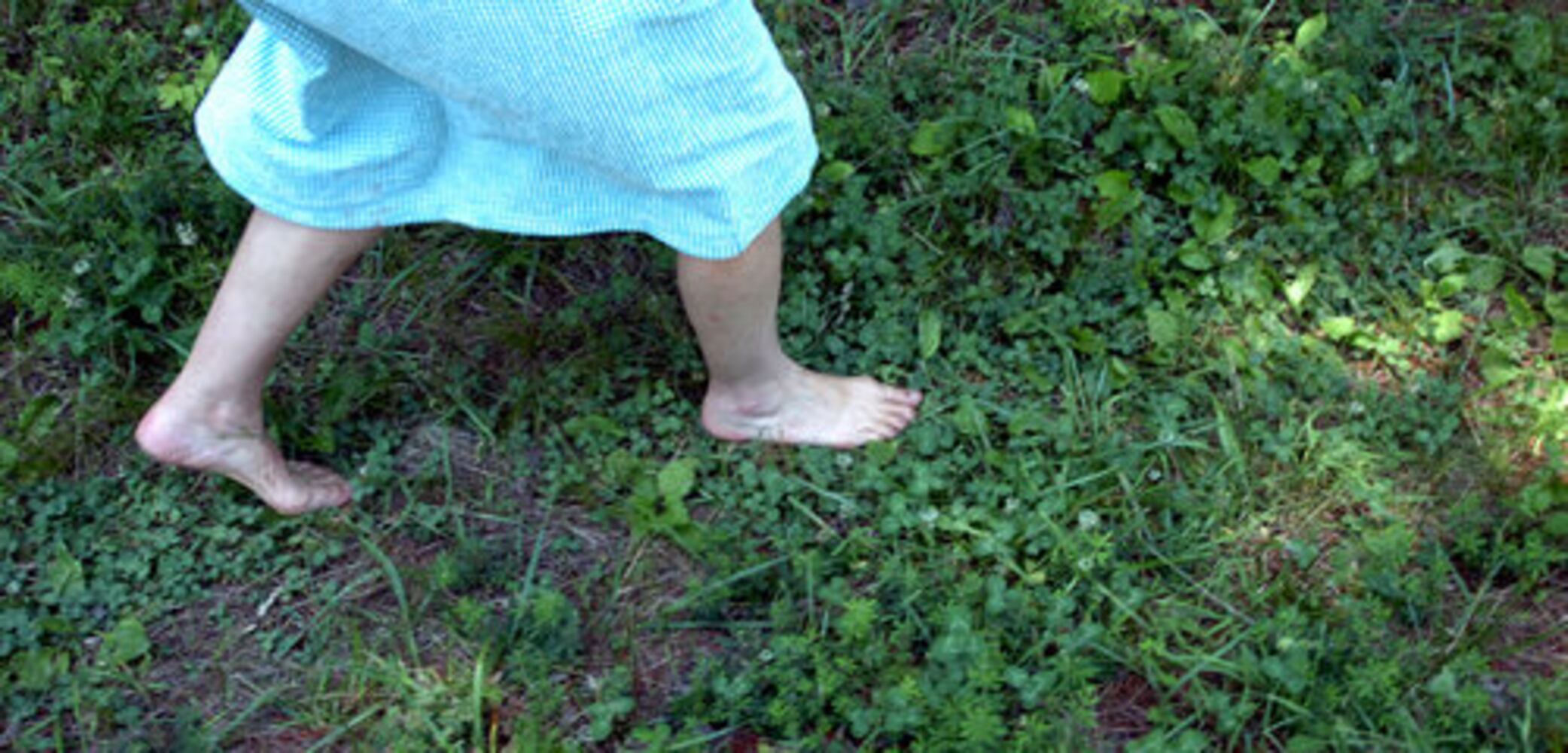 Protecting Cobb County's Hyde Farm