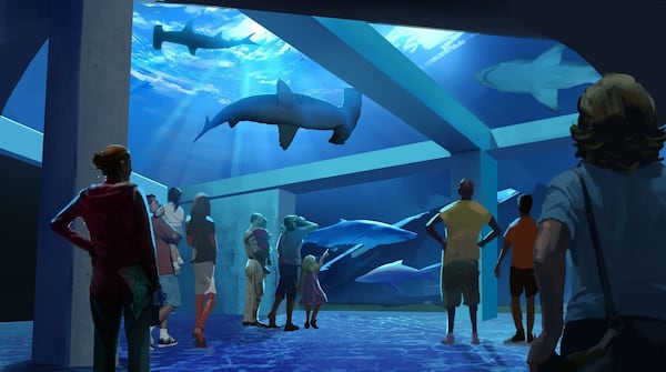 The Georgia Aquarium Expansion 2020 will feature a new shark gallery, a new entrance that extends onto the plaza and increased animal interactions.