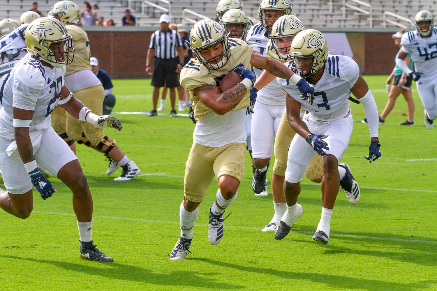 Photos: Fan day at Georgia Tech