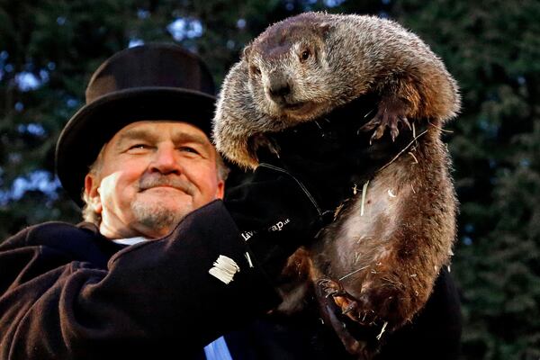 Groundhog Club handler John Griffiths holds Punxsutawney Phil, the weather prognosticating groundhog, during the 131st celebration of Groundhog Day.