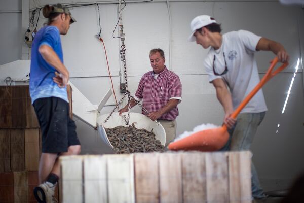 TYBEE ISLAND, GA - OCTOBER 4, 2023: Pat Mathews, center, weighs a load of wild Georgia shrimp from the trawler Amanda Lynn at his processing facility, Wednesday, Oct. 4, 2023, in Tybee Island, Georgia. (AJC Photo/Stephen B. Morton)