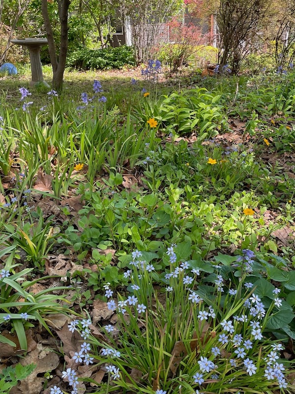 The Pushing Up Daisies Garden Tour is a benefit for the historic Sylvester Cemetery. 
(Courtesy of the East Atlanta Strut / Michelle Rice)