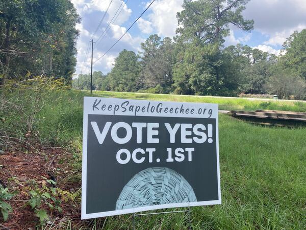 McIntosh County residents are voting in a referendum that, if successful, would repeal a zoning ordinance that dictates the size of beach homes on Sapelo Island. 