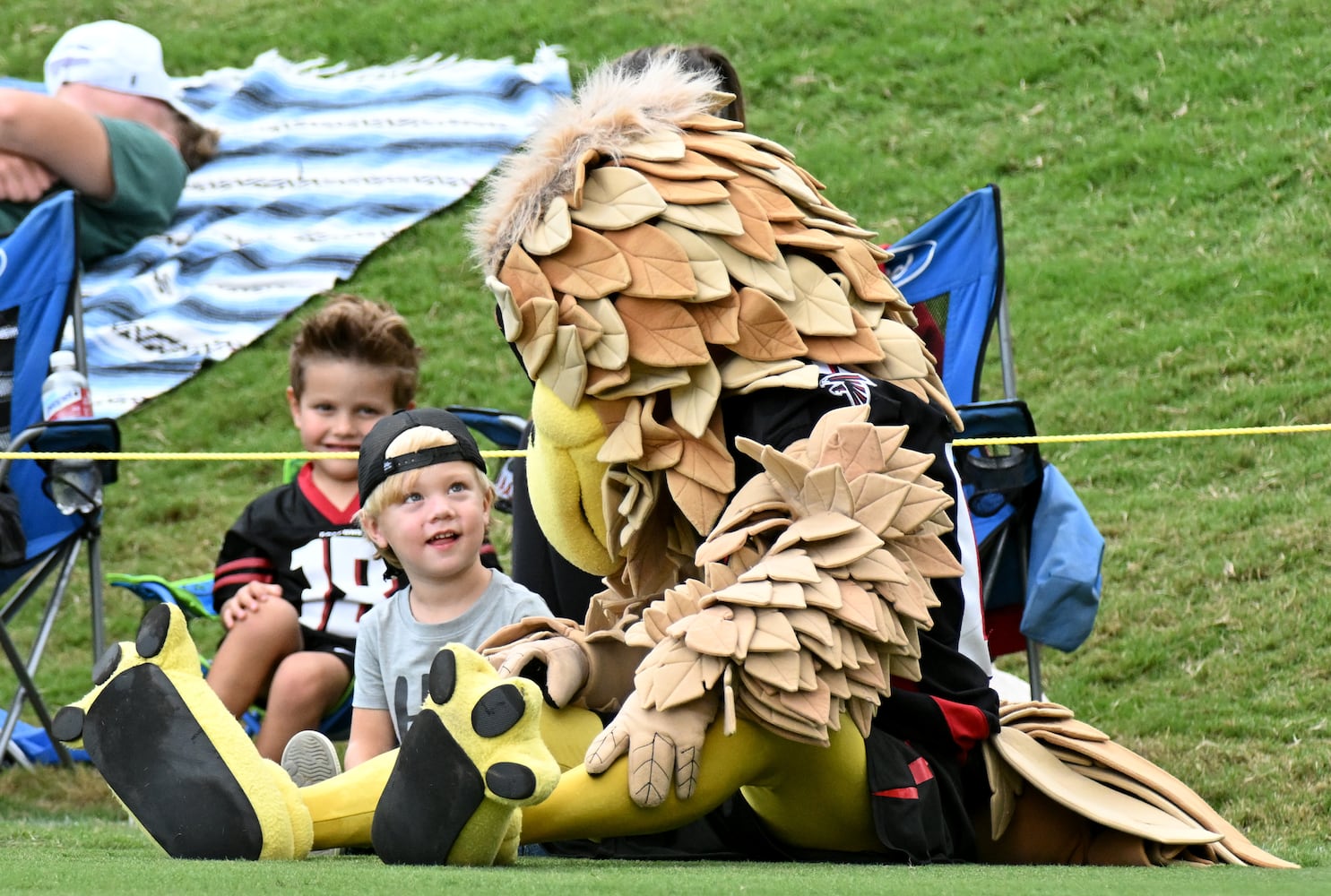 Falcons training camp photo