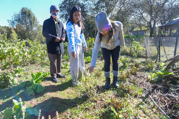 Gardener Lian Ngia, Lang Lang and Leela Basnet examine plants in Ngia’s garden Monday, Nov. 15, 2021. (Daniel Varnado/ For the Atlanta Journal-Constitution)