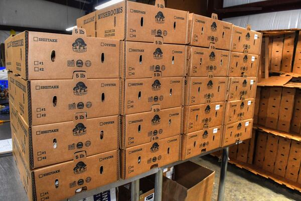 At Ellijay Mushrooms, 5-pound boxes await shipping in the packaging building on the farm. (Chris Hunt for The Atlanta Journal-Constitution)