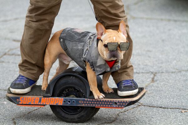 Blake Goodman rides a Onewheel with his dog Murph around the Brookhaven Cherry Blossom Festival in 2019. STEVE SCHAEFER / SPECIAL TO THE AJC