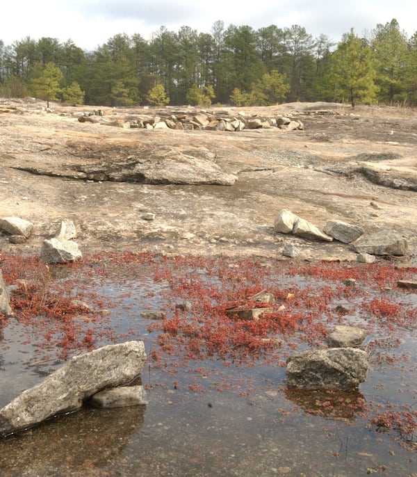 Davidson-Arabia Mountain Nature Preserve