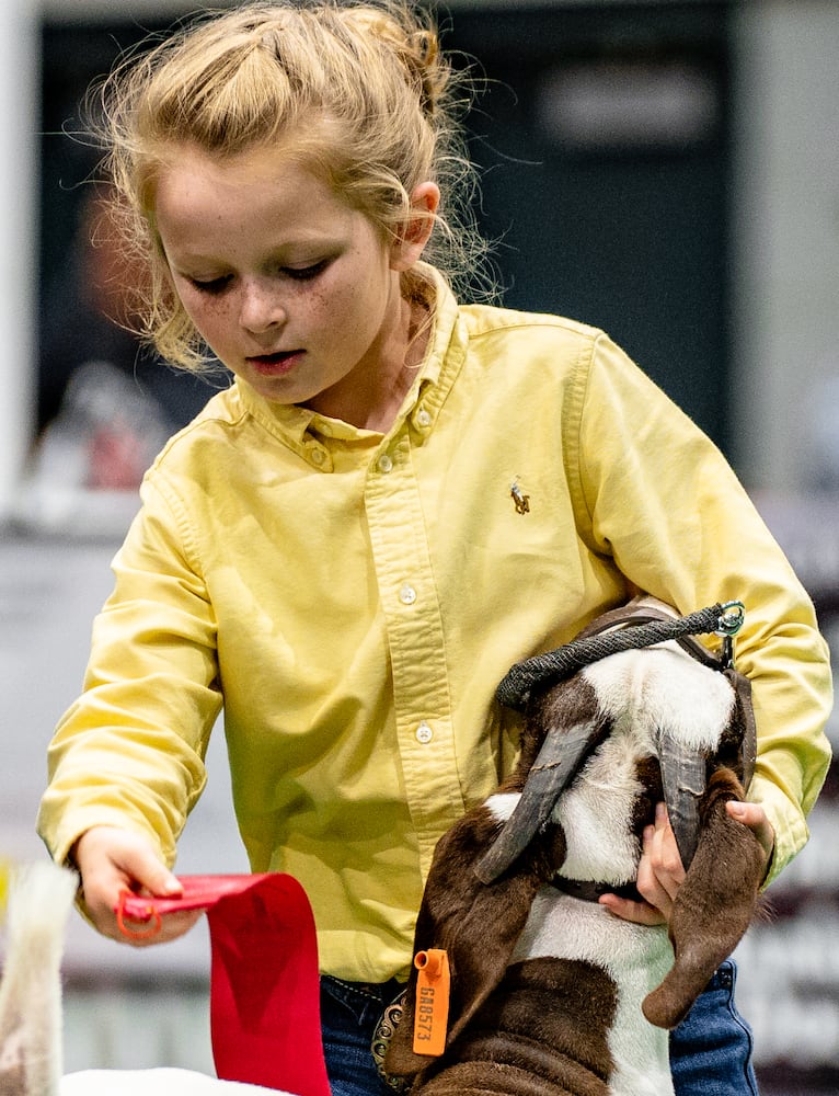 UGA Georgia Fair