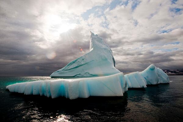 The San Rafael glacier.