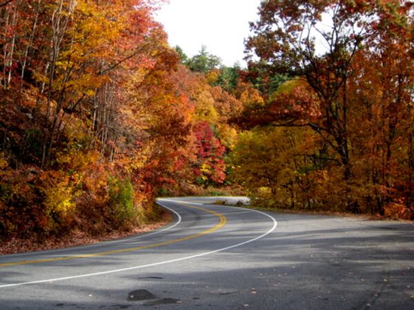 Fall colors taken Nov. 18, just north of Helen, Ga., heading to Hiawassee, Ga.