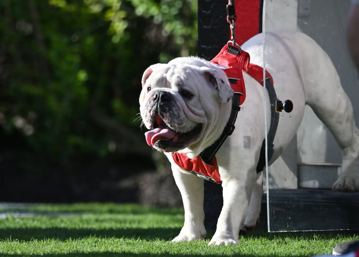 Georgia vs. UT Martin