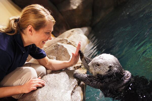 Photos: courtesy of the Georgia Aquarium