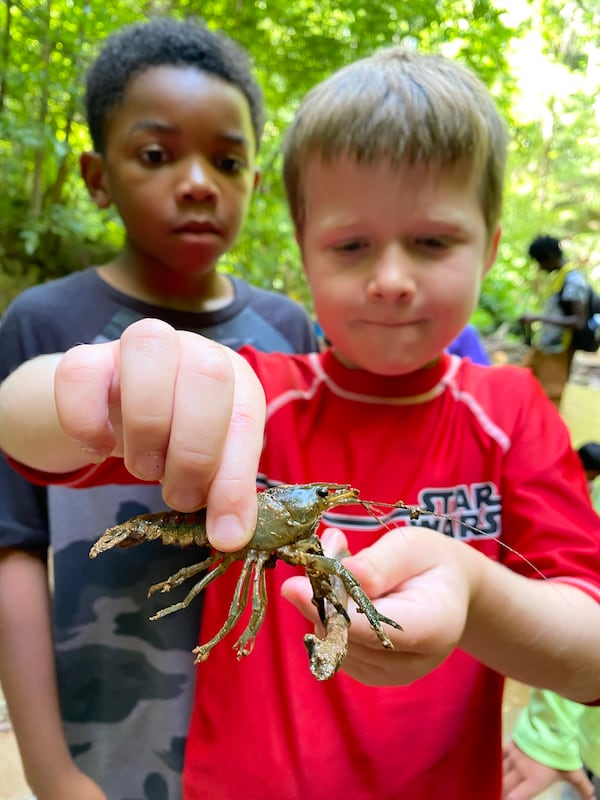 The Elachee Nature Science Center offers classes and field trip showcasing nature and its animals to adults and children. 
Photo courtesy of the Elachee Nature Science Center.