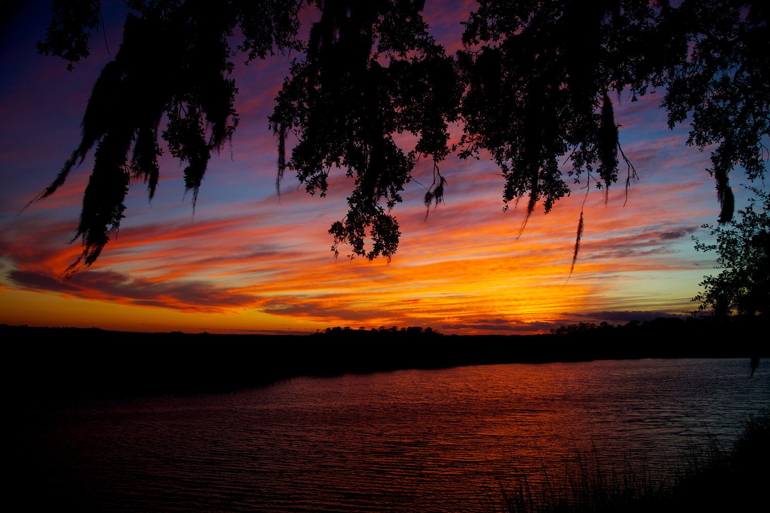 Little St. Simons Island by Britt Brown