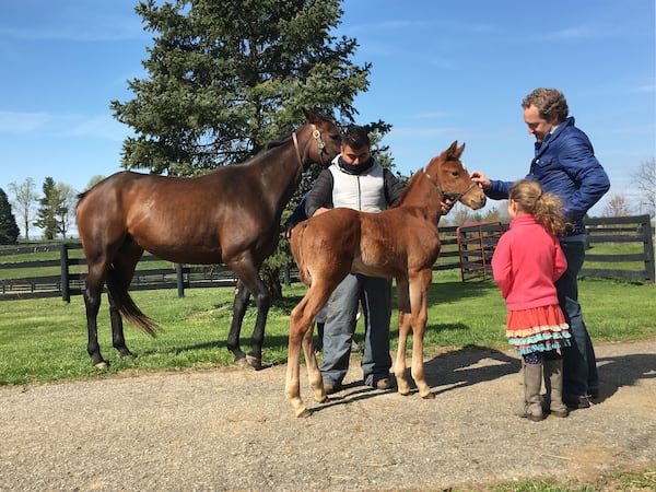 Tyler Alexander and daughter Ali admire a weanling that grew up to be Kentucky Derby entrant Plus Que Parfait. (Photo courtesy Calloway Stables)