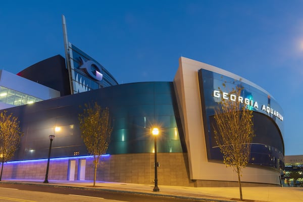 Georgia Aquarium, a project of Brasfield & Gorrie general contracting firm. Photo contributed by Brasfield & Gorrie.