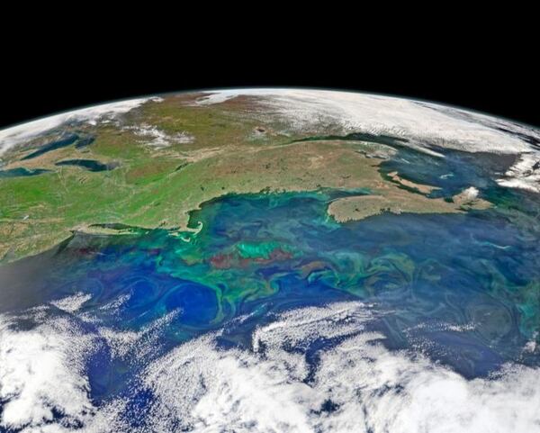 A satellite image of the North Atlantic Ocean in spring 2015. The swirls show the location of eddies, which have marine life that reflects green light. New research shows that great white sharks gravitate toward warm water eddies.