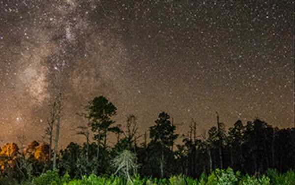 See the eerie, inspiring night sky on a ranger-led night paddle at Stephen C. Foster State Park.