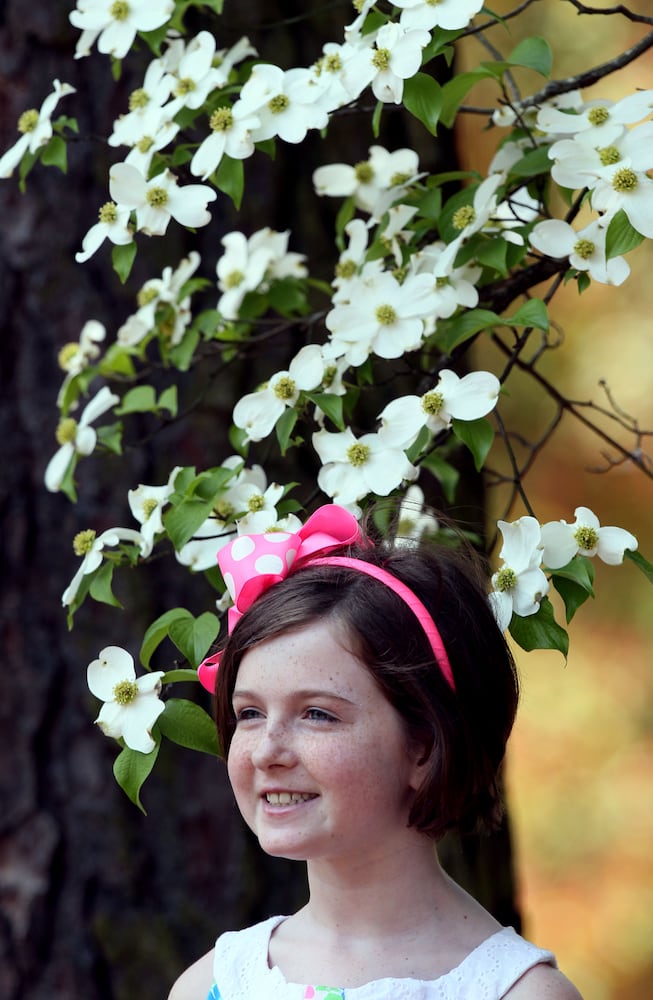 Augusta National Golf Club, which was originally built on the former 365-acre Fruitland Nurseries, is full of blooming flowers.