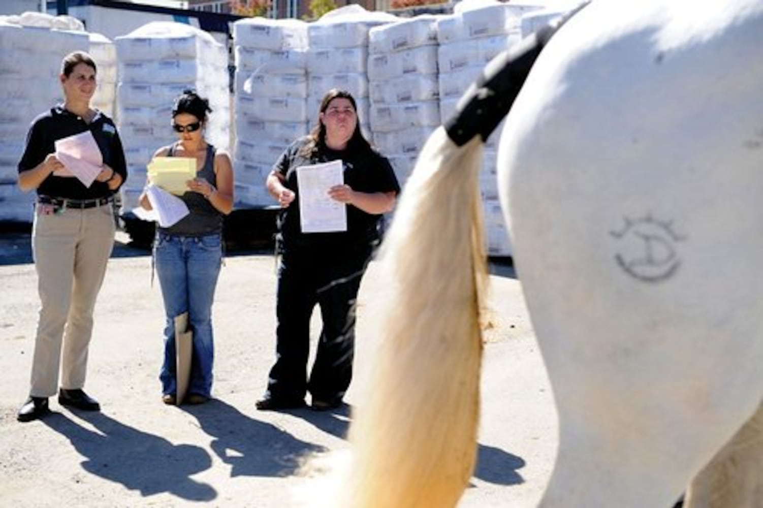 Cavalia' horses arrive in Atlanta