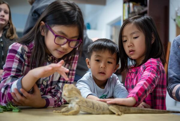 Bella Vuona, Carter Le and Elanie Le check out a Bearded Dragon reptile at the Amphibian Foundation during Atlanta Science Festival Saturday, March 9, 2019. STEVE SCHAEFER / SPECIAL TO THE AJC