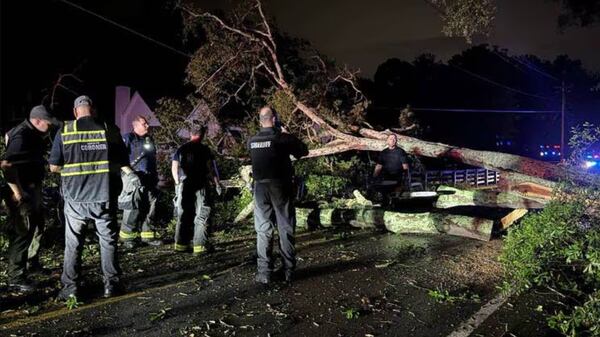 A man was killed when a tree fell on his vehicle Tuesday in Cherokee County.