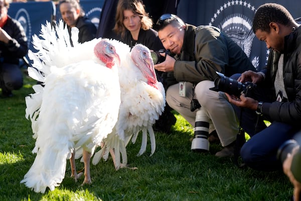 Turkeys Peach and Blossom posed for photos with the news media before being pardoned by President Joe Biden at the White House on Monday. 