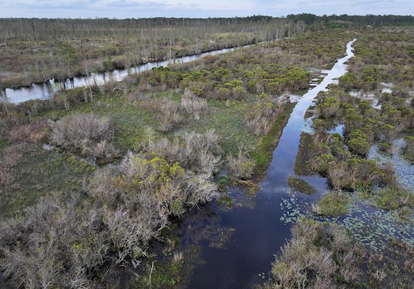 A drone photograph captures the Okefenokee Swamp on Monday, March 18, 2024. (Hyosub Shin/AJC)