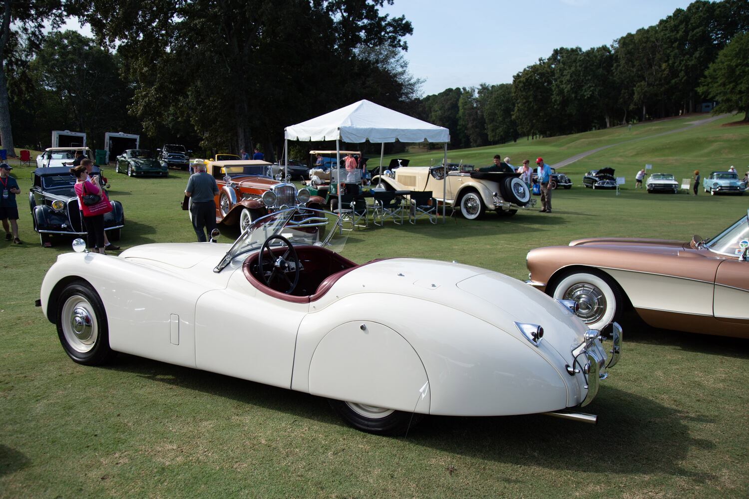 Photos: Cool cars displayed at 2018 Atlanta Concours d'Elegance