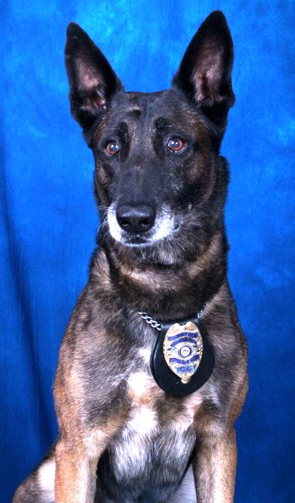 Draco: "He's an amazing animal," a Gwinnett police spokeswoman said. "His K-9 handler thought the world of him."