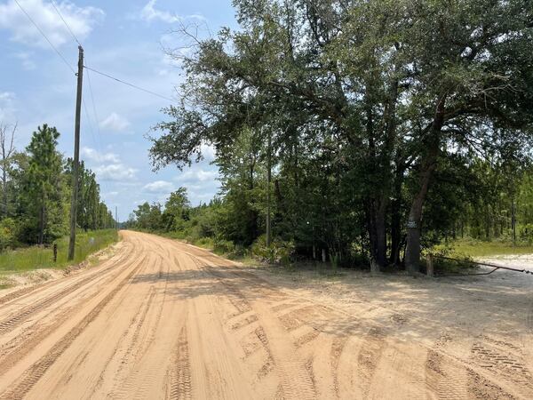 A part of the Bryan County mega-site recently purchased by the state of Georgia to attract major economic development deals.