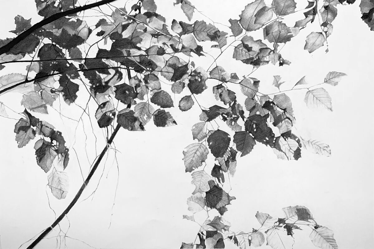 Jo Peterson’s “Pine Forest Canopy,” 2021, offers a view of looking through leafy vines that creates negative areas of the composition which are open and breathable to the sky.