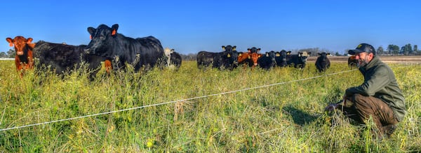 Dan Glenn gives a tour of Deep Grass Graziers in Fitzgerald. (CHRIS HUNT FOR THE ATLANTA JOURNAL-CONSTITUTION)