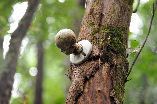 Creepy or cool? Let the little ones decide on the Dolls Head Trail in southwest DeKalb County. HYOSUB SHIN / HSHIN@AJC.COM