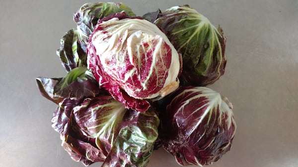 Beautiful Radicchio Bel Fiore from Crystal Organics in Newborn, Georgia - one of the winter offers from The Turnip Truck of Georgia. (Photo credit: John Arthur Brown)